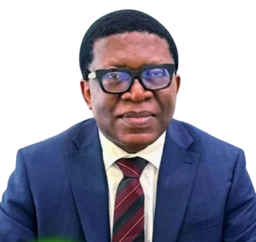 Mr. Robinson Ofomata